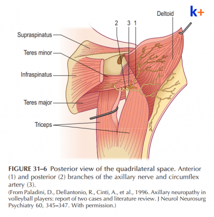 # CA LÂM SÀNG: Vai trò Điện cơ trong đánh giá Tổn thương Thần kinh mũ sau Zona thần kinh.